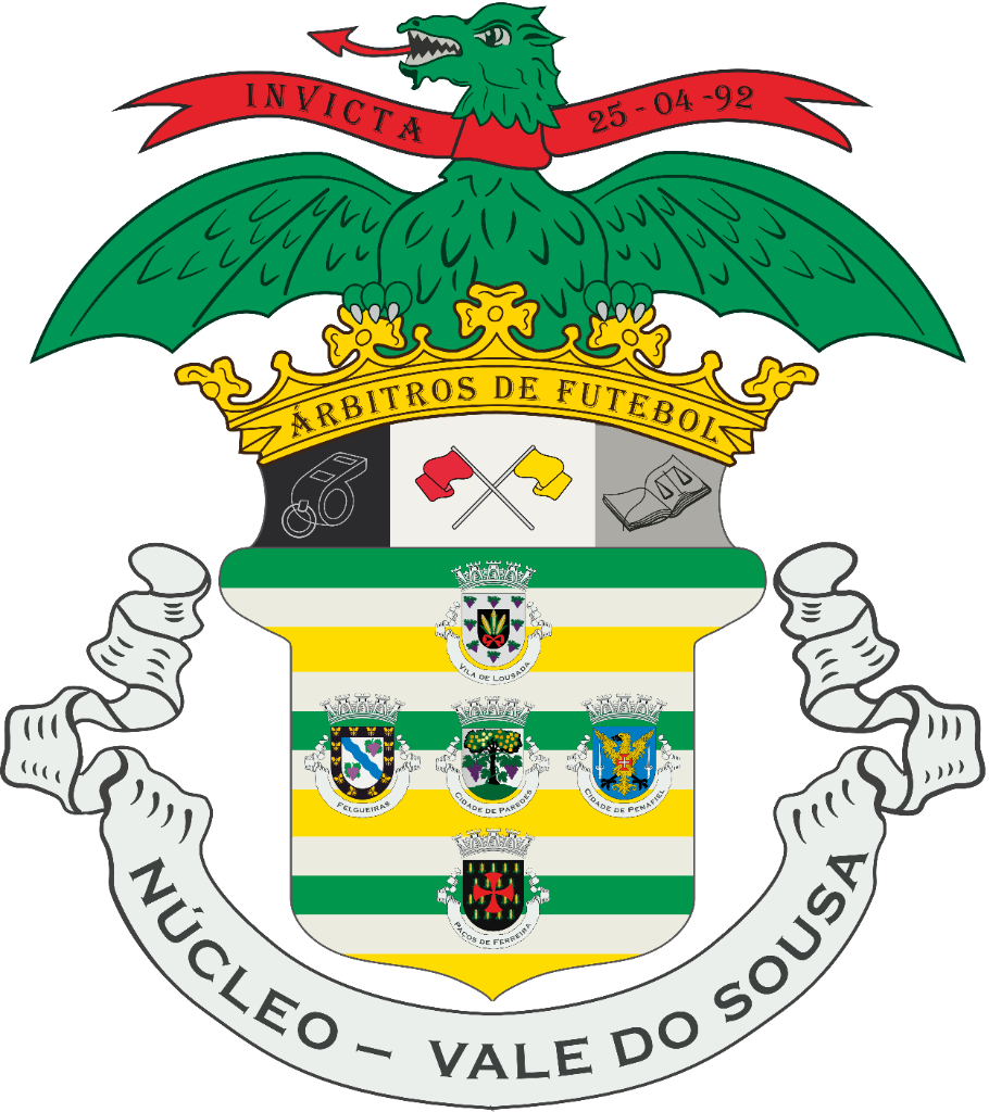 NAF Vale do Sousa Logo