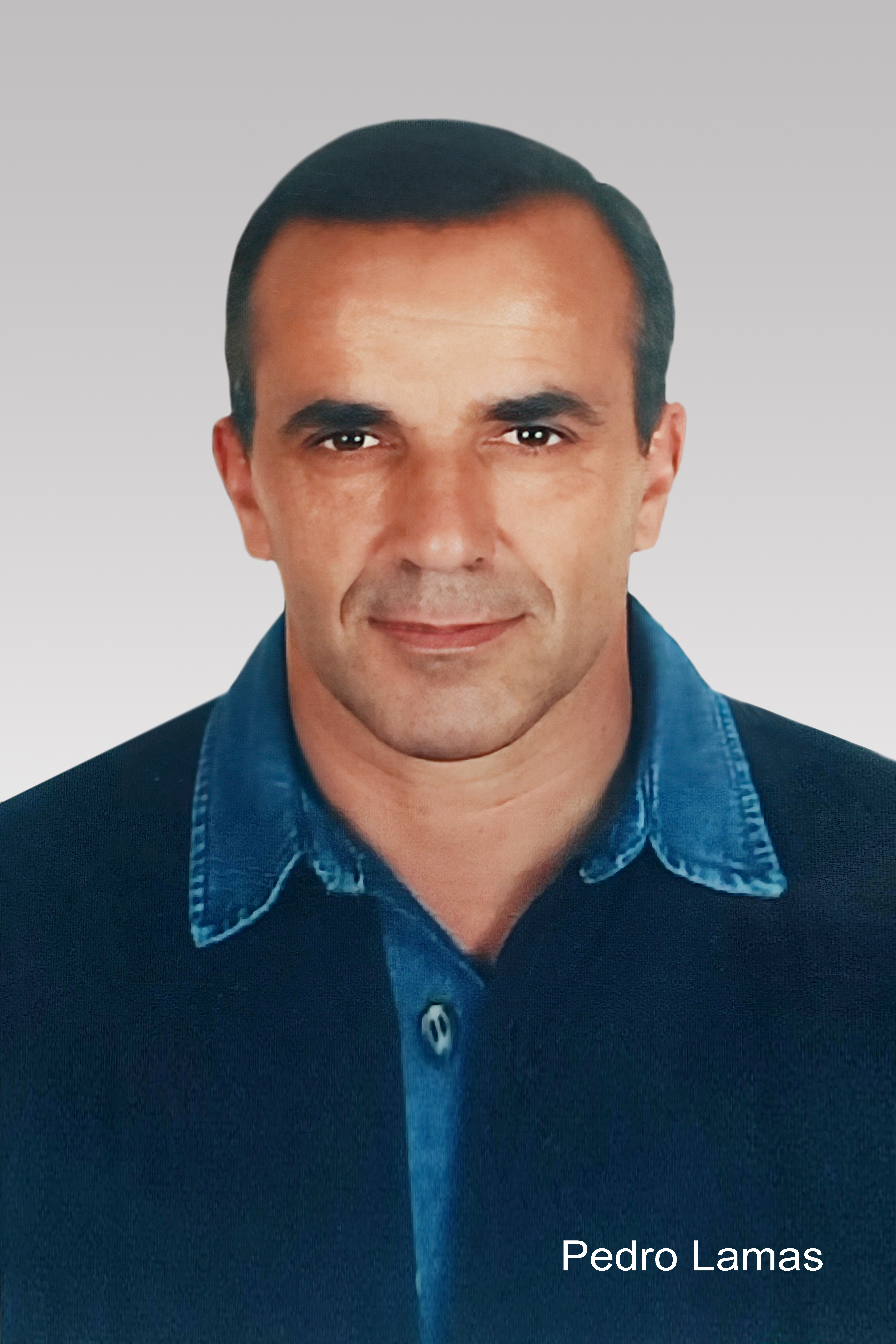 Pedro Lamas